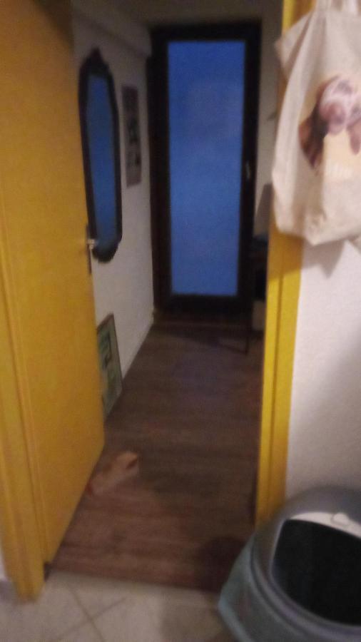 Double Room With Shared Bathroom Split Zewnętrze zdjęcie